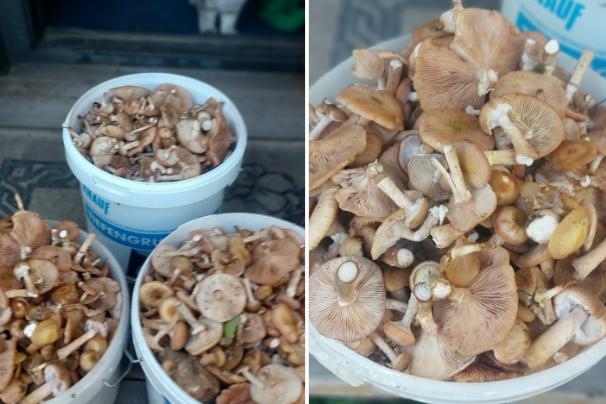 Снимок экрана 2025-09-18 134552.png