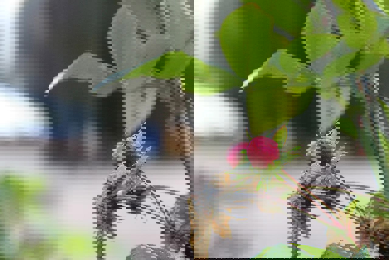 photo_2025-11-21_10-42-36 (3).jpg