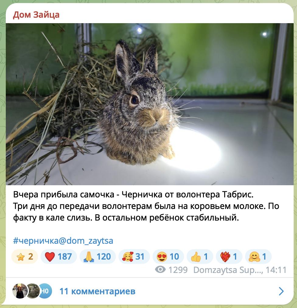 Снимок экрана 2025-09-16 в 13.18.21.png