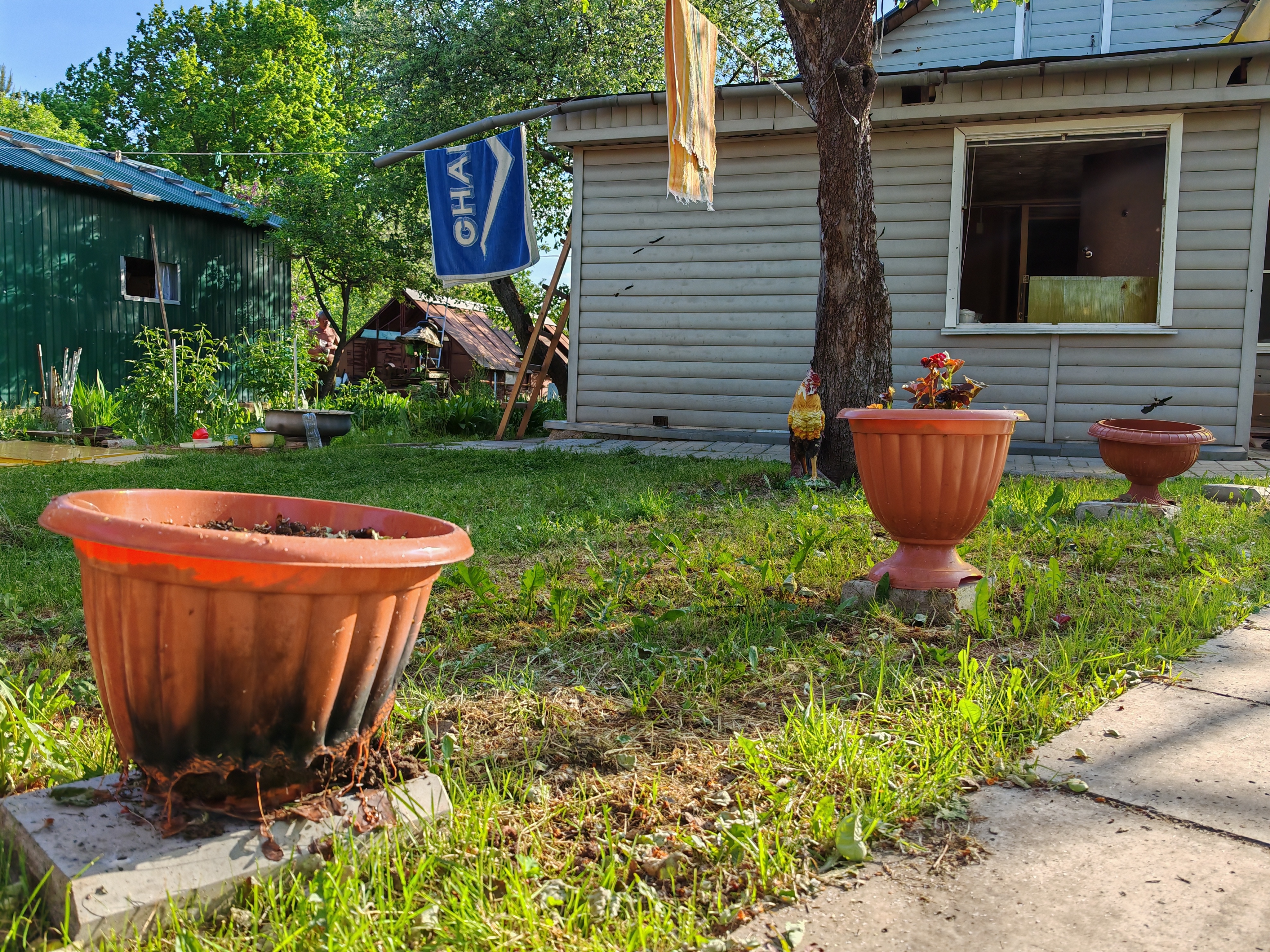 IMG_20250525_175339 (2).jpg