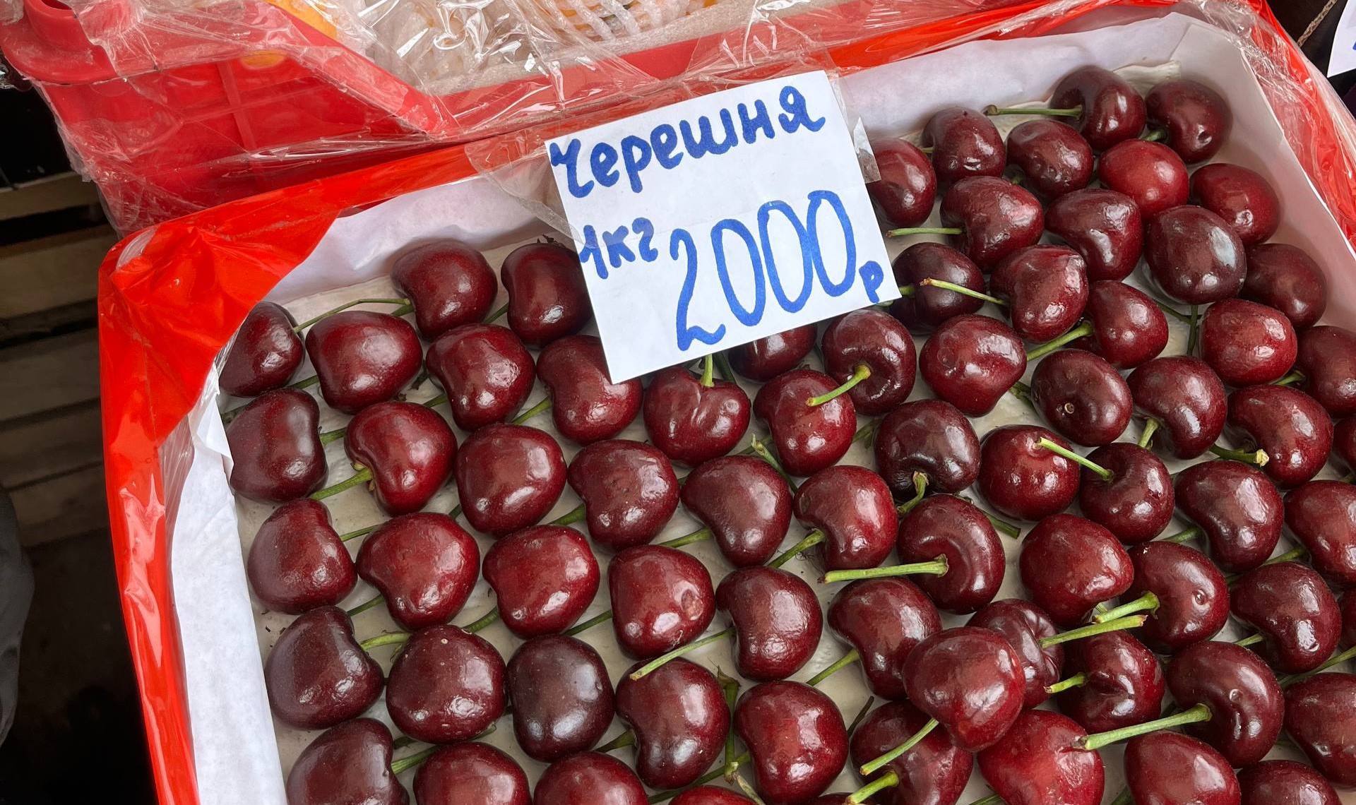 черешня май.jpg