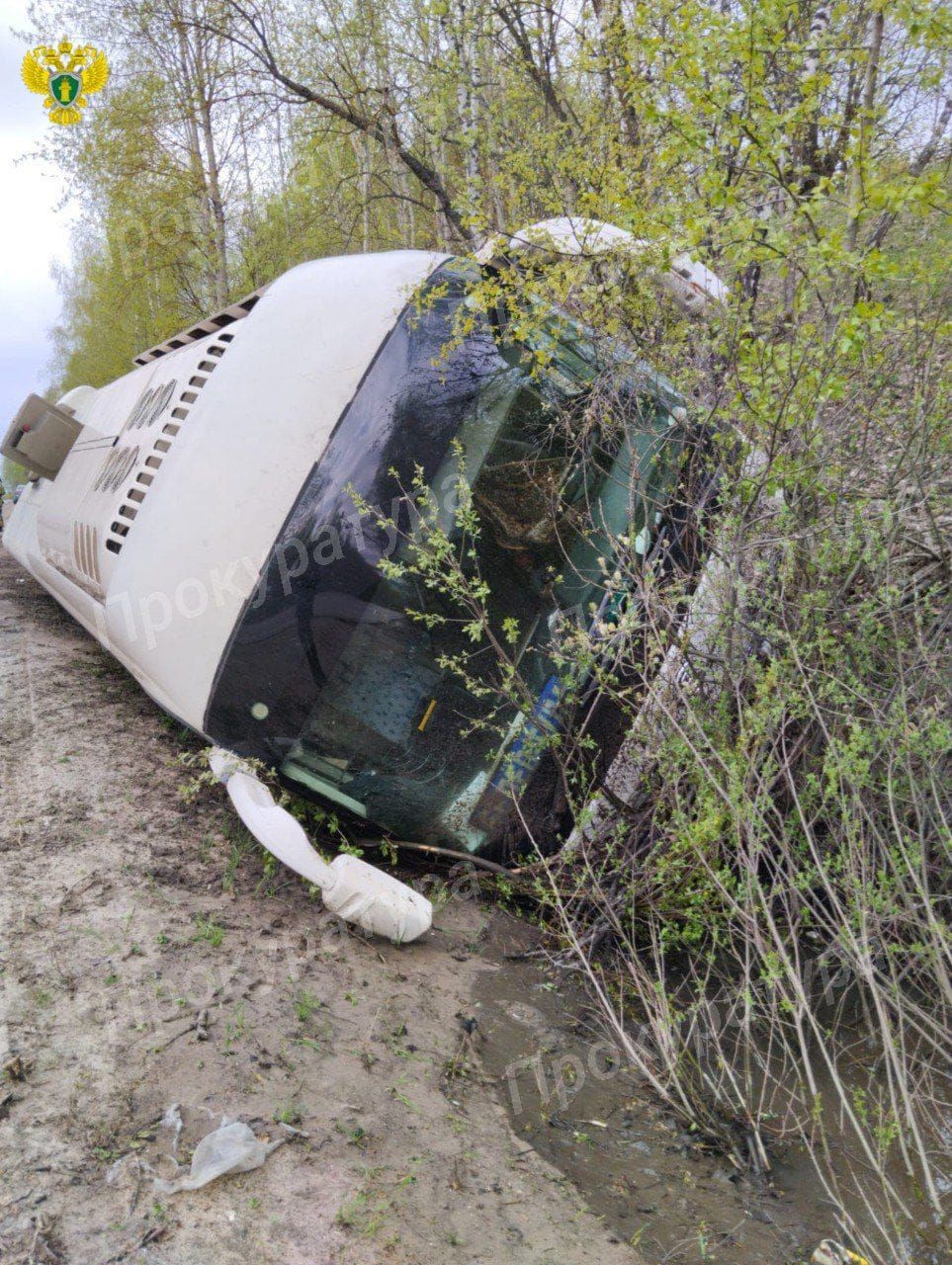 Под Тулой опрокинулся пассажирский автобус - Новости Тулы и области.  Криминал - MySlo.ru