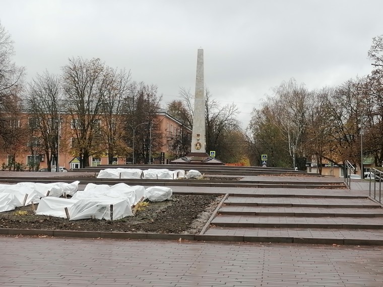 8ef1b78ef551488a260b0753c523292c (3).jpg