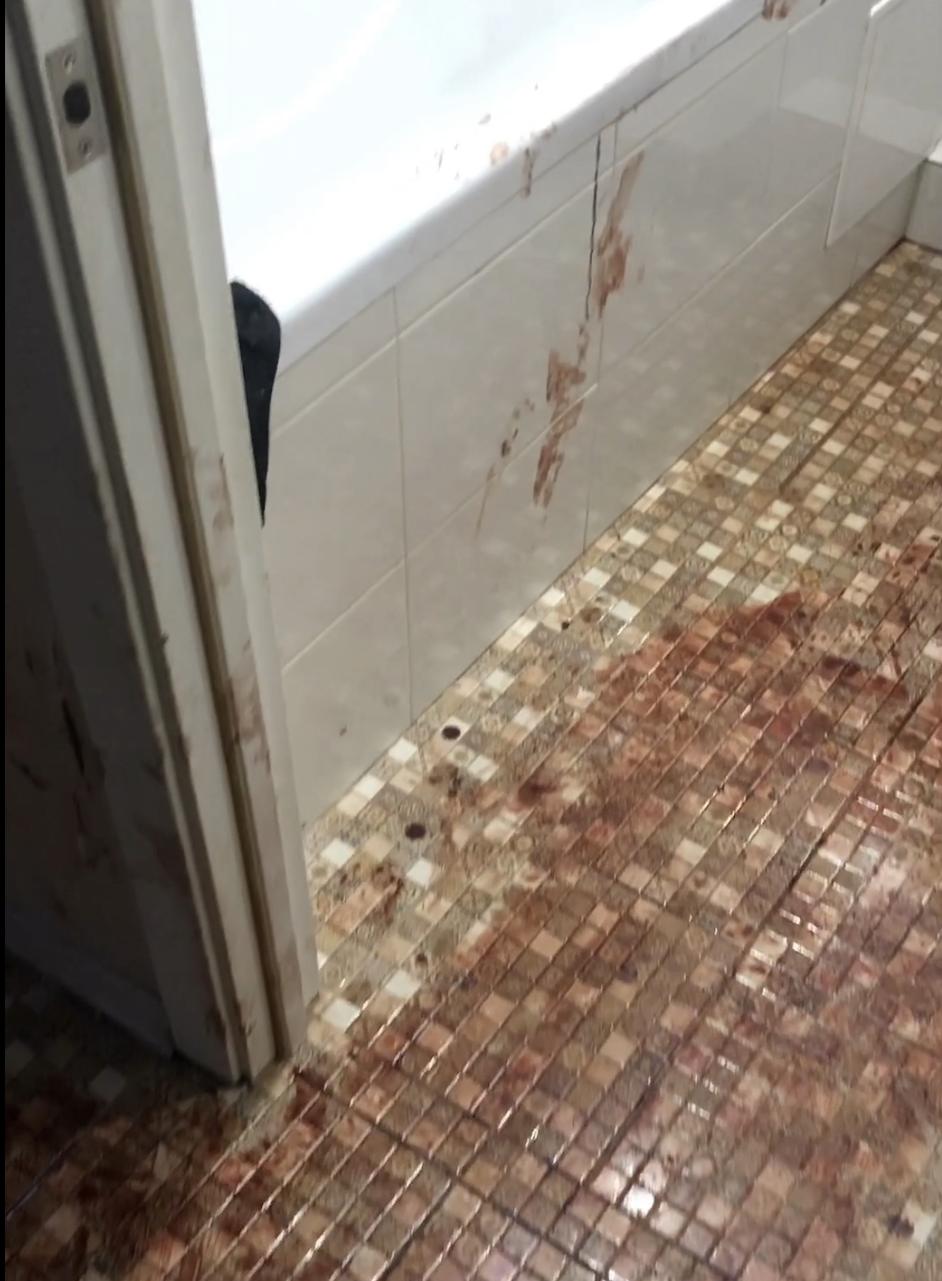 Снимок экрана 2025-10-10 в 16.43.53.png