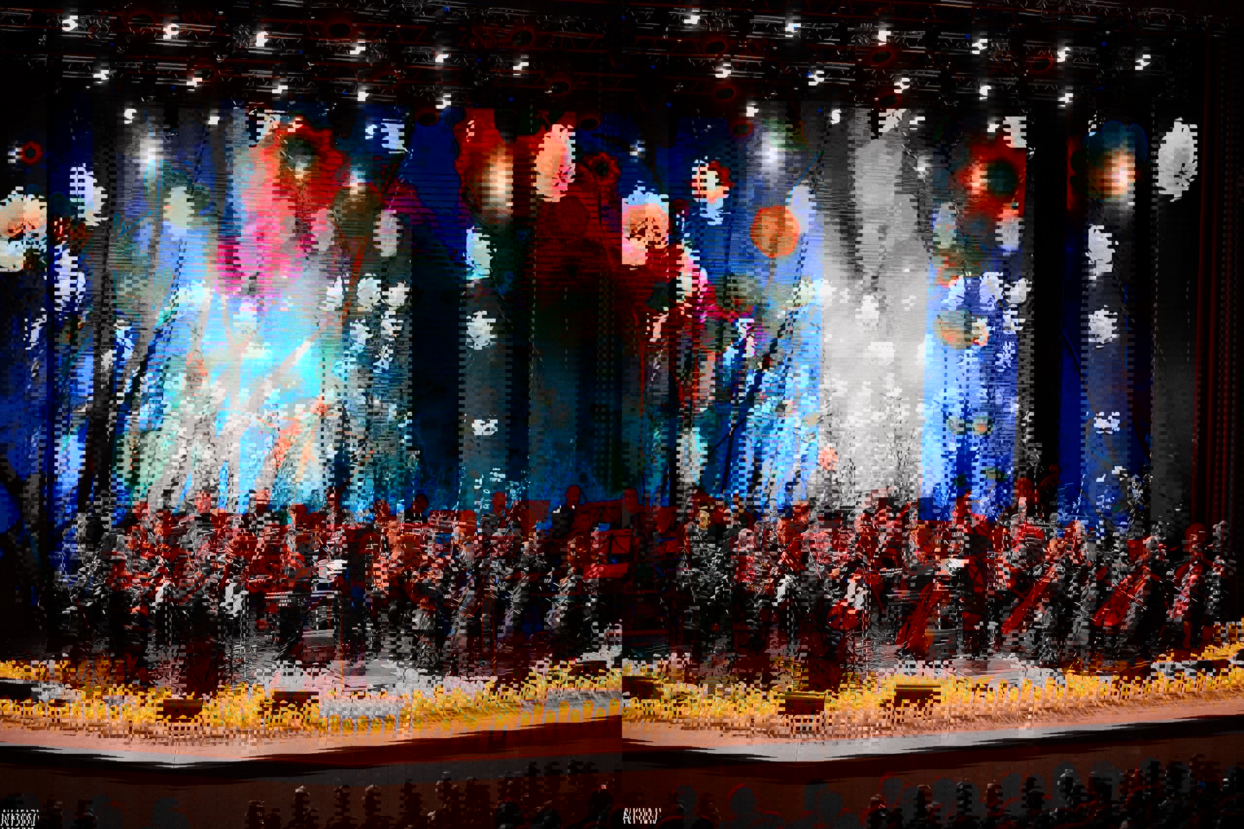 IMAGE 2025-11-12 17:23:48.jpg