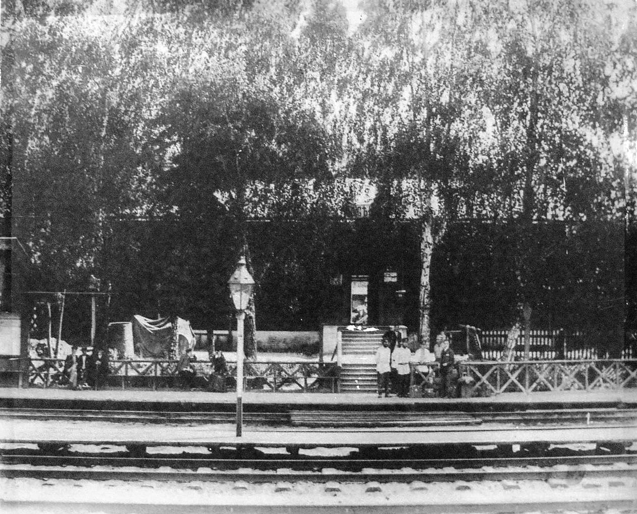 Козлова засека_2.jpg