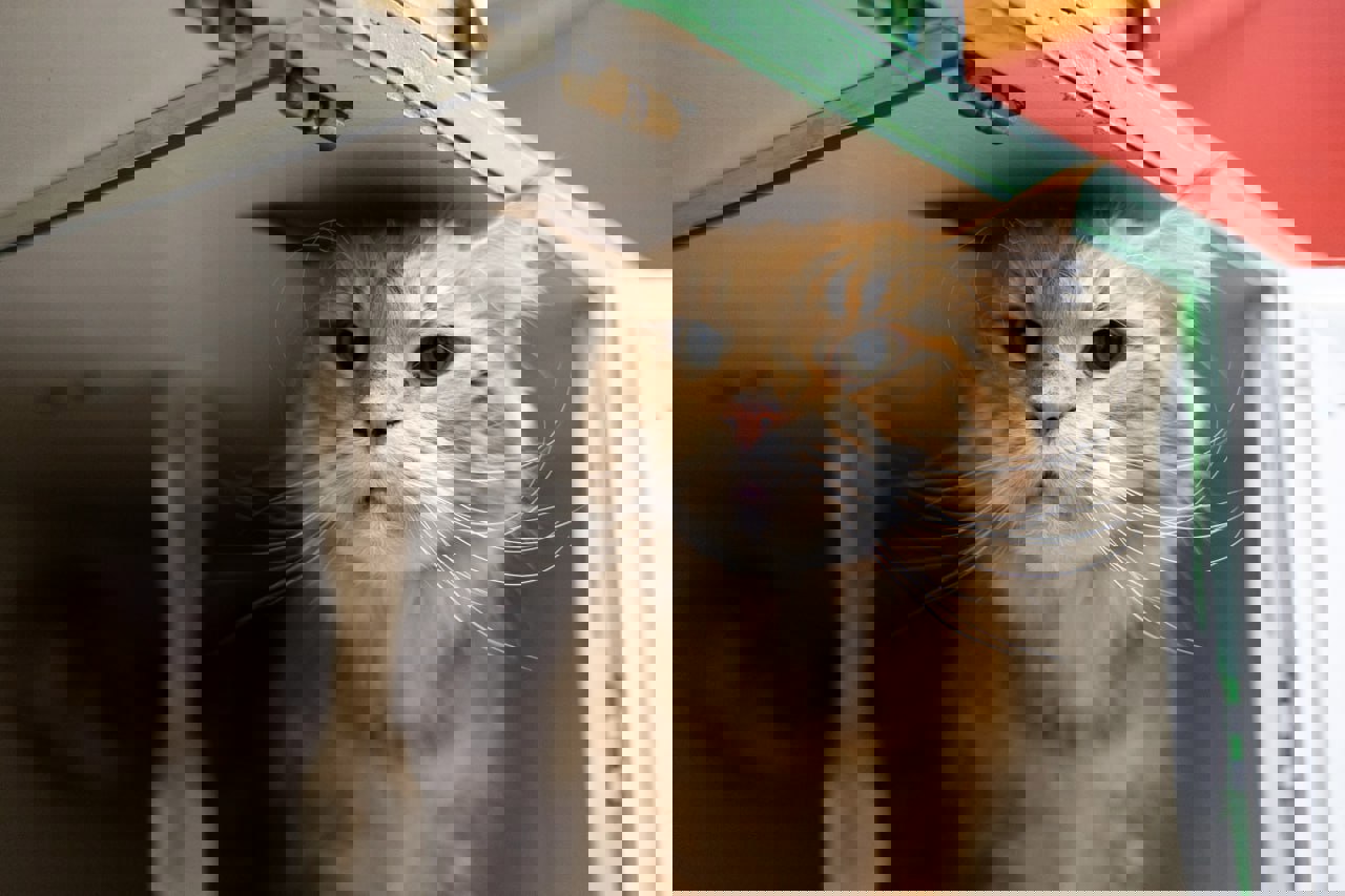 photo_2025-12-19_13-52-45 (2).jpg