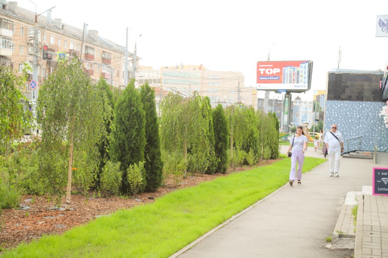 8ef1b78ef551488a260b0753c523292c (2).jpg