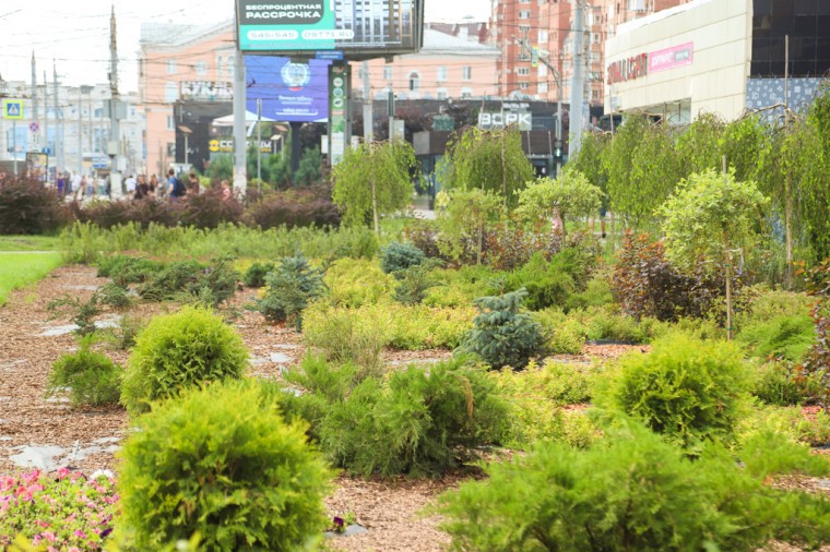 8ef1b78ef551488a260b0753c523292c (1).jpg