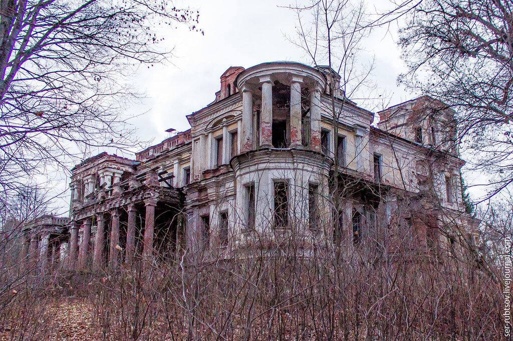 Павлищев бор.jpg