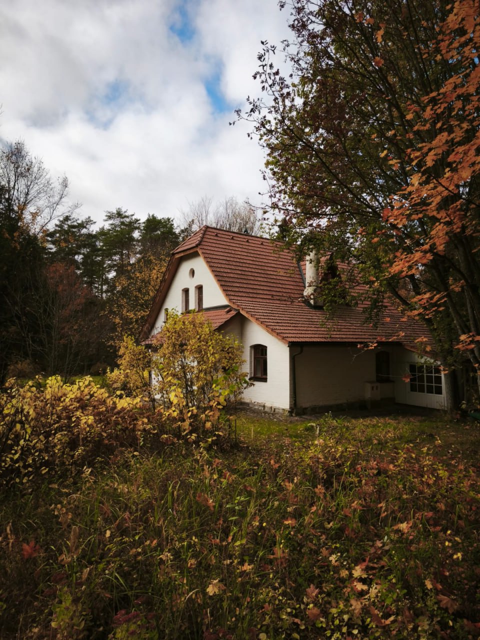 photo_2025-10-22_16-37-48 (2).jpg