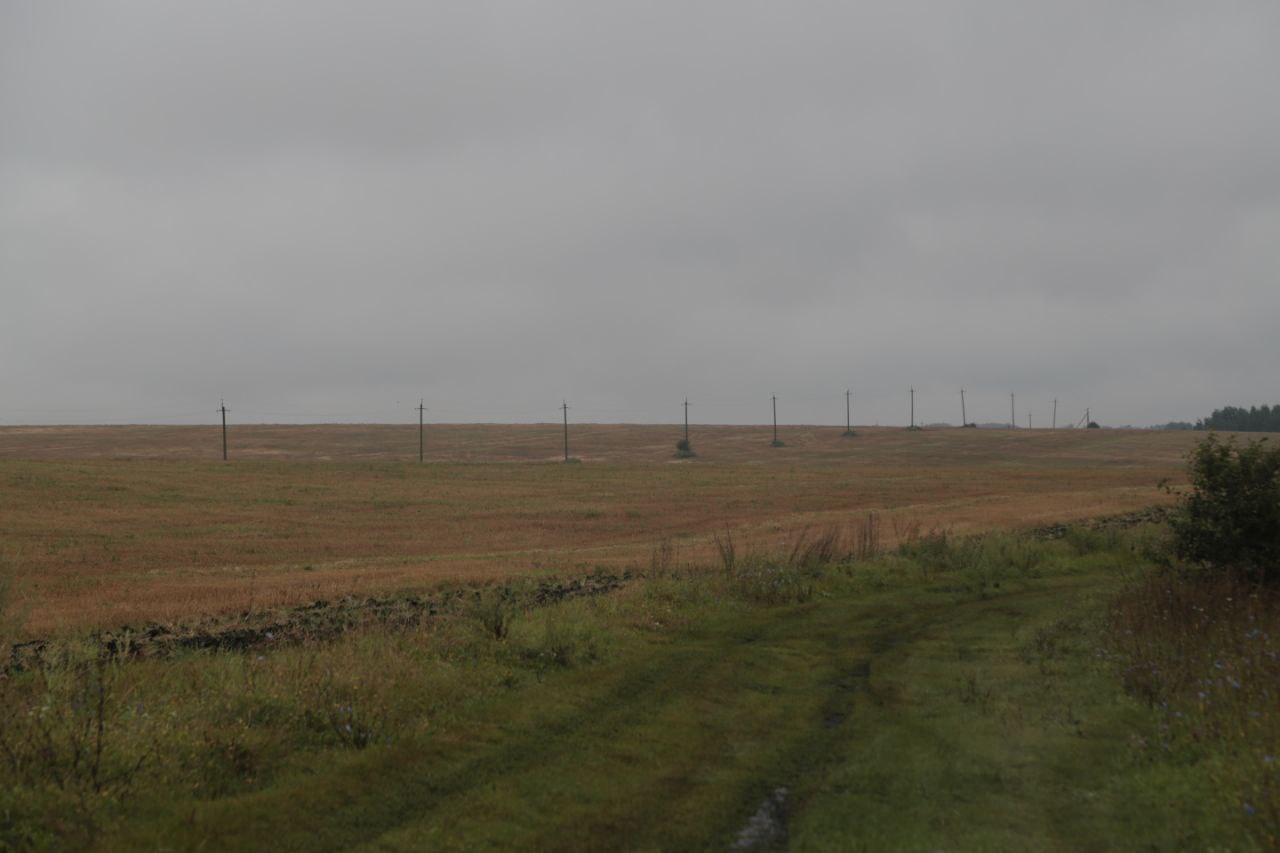 поле.jpg