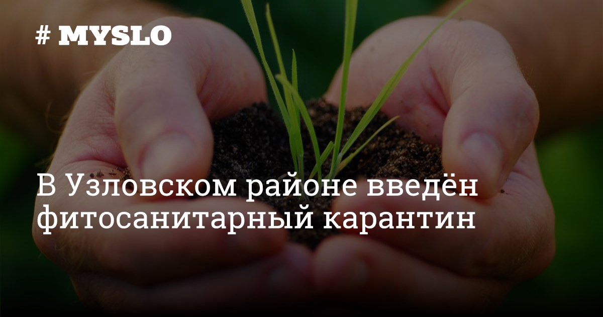 Установлена карантинная фитосанитарная зона