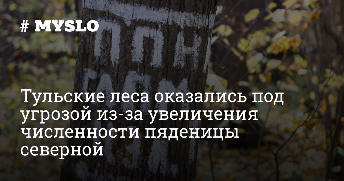 Тульские леса оказались под угрозой из-за увеличения численности пяденицы северной