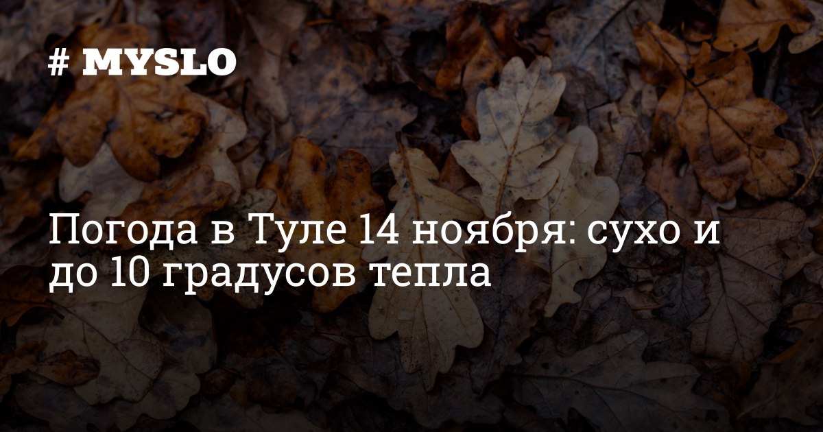 Погода в Туле 14 ноября: сухо и до 10 градусов тепла