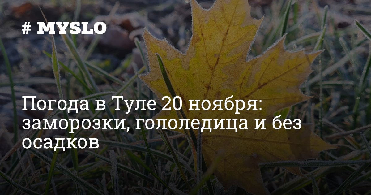 Погода в Туле 20 ноября: заморозки, гололедица и без осадков