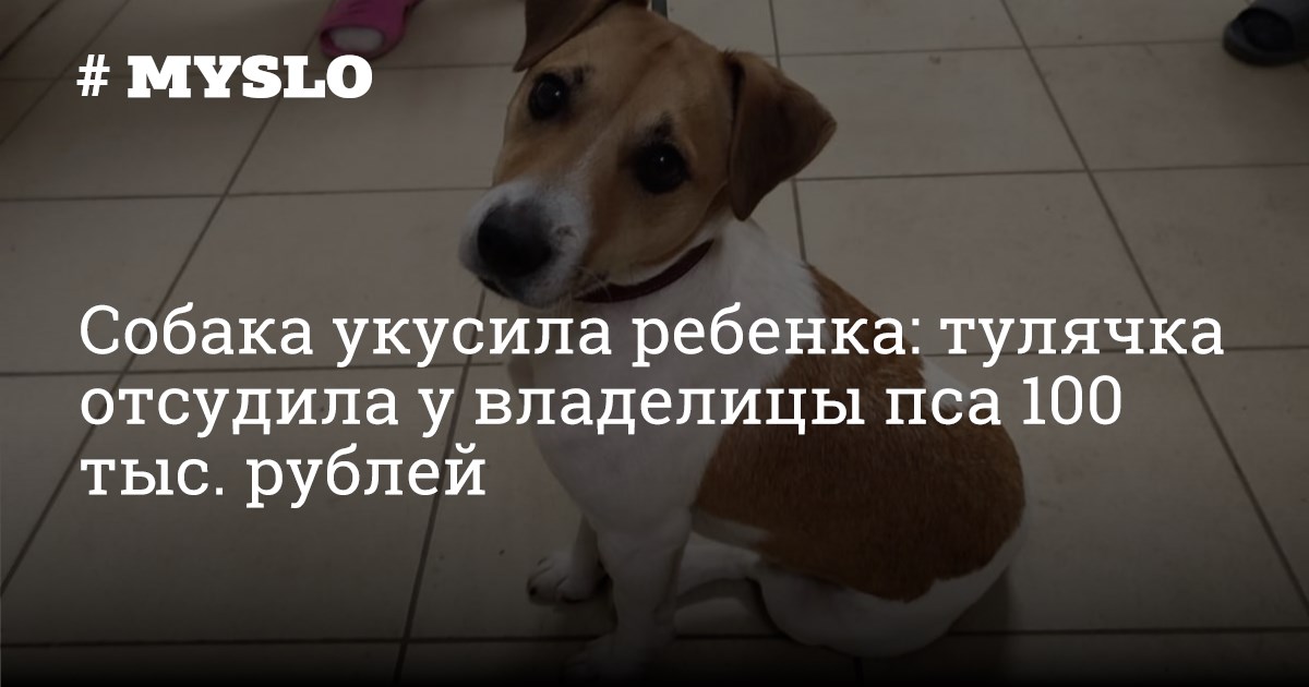Укусила бездомная собака. Моральный вред за укус собаки. Исковое заявление укус собаки. Компенсация морального вреда за укус собаки. Моральный вред за укус собаки.