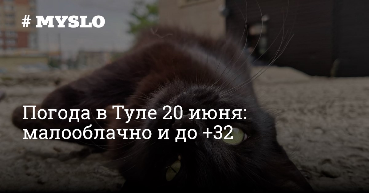 Тула 20 июня. Тула 20 июня
