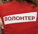 В Туле набирают волонтёров для Всероссийского голосования 