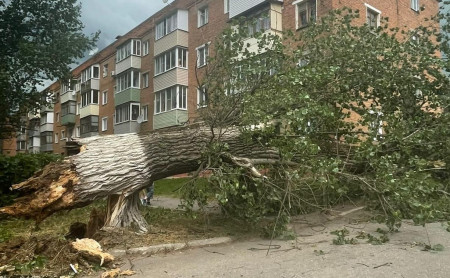 Жизнь Тулы и области