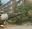 В Алексине ветер сорвал крышу со здания и повалил дерево на машины