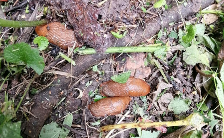 Жизнь Тулы и области