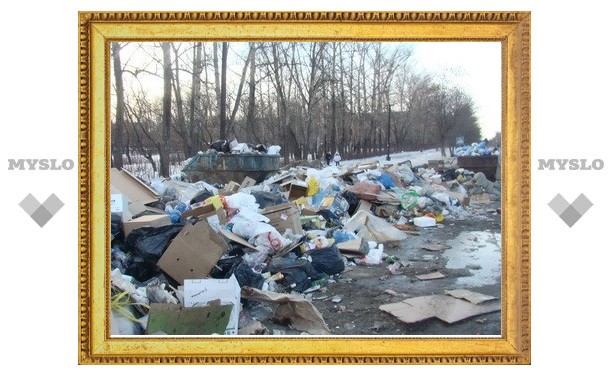 Улицы Пролетарского района Тулы завалены мусором