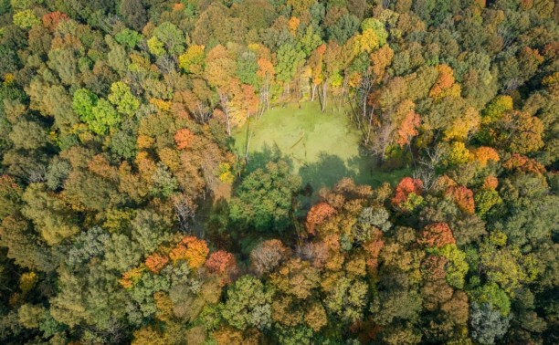Посещение нацпарка «Тульские засеки» может стать платным&nbsp;
