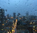 Погода в Туле 10 октября: дождь, порывистый ветер и до +11