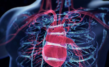 Жизнь Тулы и области