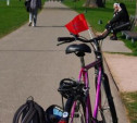 Тульскую набережную и Баташевский парк соединит велодорожка