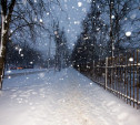 Снегопад, гололедица и снежные заносы: МЧС призывает туляков быть осторожнее на улице