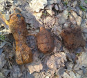 Два блиндажа с останками: В Тульской области обнаружено массовое захоронение времен войны