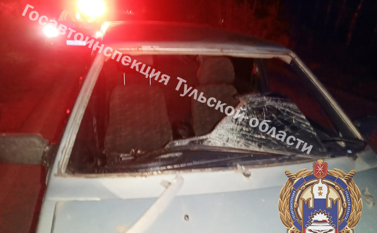 В Веневском районе пьяный водитель на ВАЗе насмерть снес пешехода