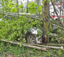В Ясногорском районе Volkswagen врезался в дерево у дороги