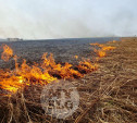В трех районах Тульской области объявлен высокий уровень пожароопасности