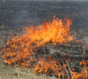 Велик риск возникновения лесных пожаров: в регионе объявлено метеопредупреждение