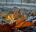 Погода в Туле 3 ноября: мокрый снег, заморозки, лёгкий ветер