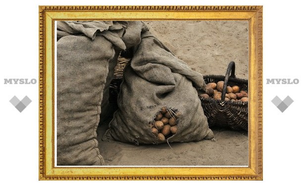 Два года колонии получил житель Тульской области за кражу мешка картошки