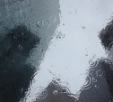 Погода в Туле 8 апреля: тепло и дождливо