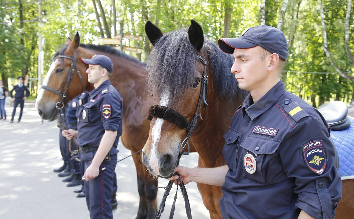 За безопасностью туляков в Центральном парке будет следить конный патруль