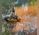 Алексинское предприятие загрязняет реку Мышегу сточными водами: видео