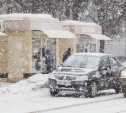Погода в Туле 26 января: снежно, ветрено, до -12 градусов