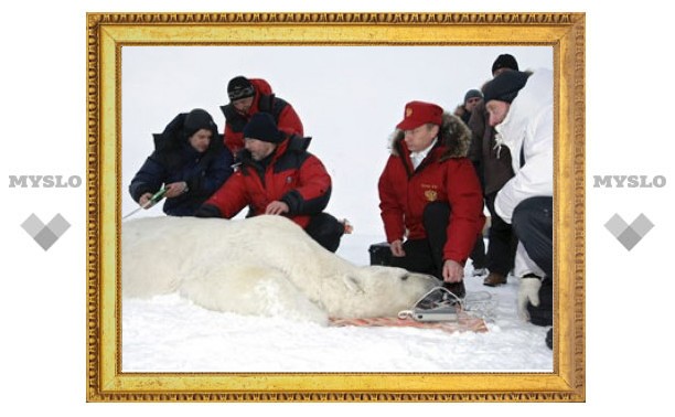 Путин предложил устроить в Арктике генеральную уборку