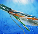 Туляк украл 23 метра интернет-кабеля 