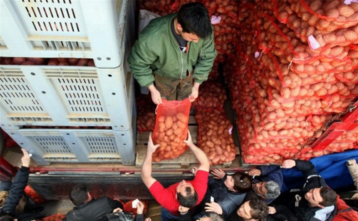 Аграрии спрогнозировали подорожание картошки и яблок в декабре