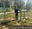 В Алексине ребенок получил ушиб на детской площадке: прокуратура организовала проверку