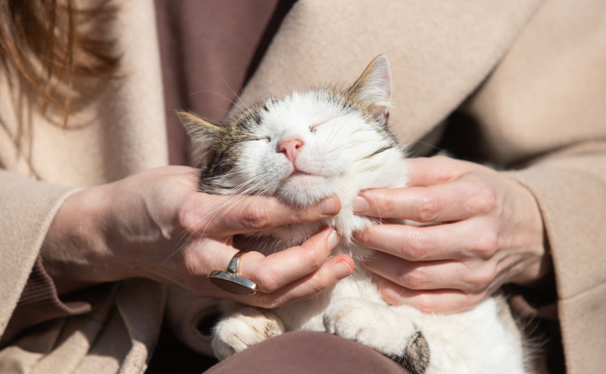 Выходные в Тульской области будут ясными и прохладными