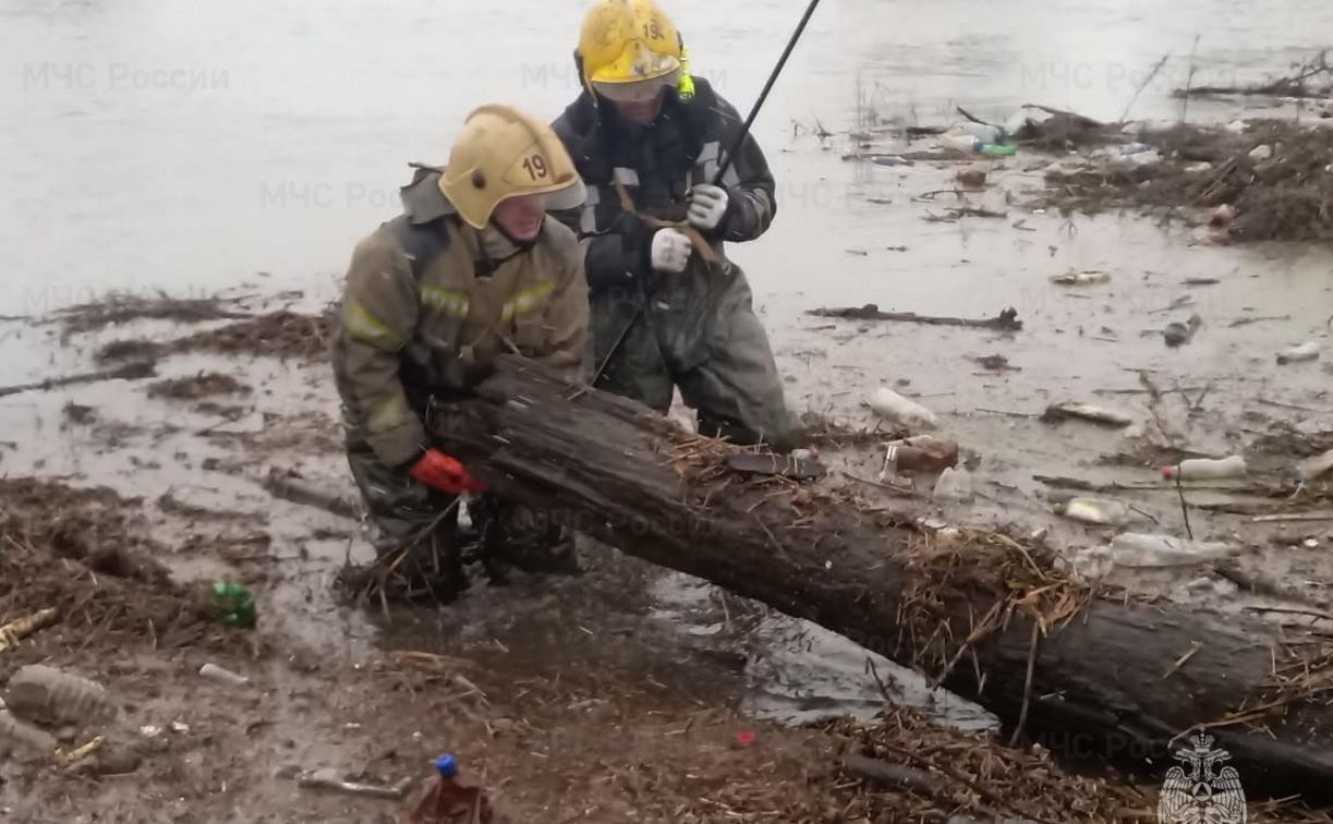 В деревне Берники спасатели расчищают мост от поваленных деревьев