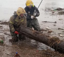 В деревне Берники спасатели расчищают мост от поваленных деревьев
